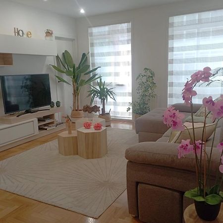 Super Apartamento Santiago ซานติอาโก เด กอมโปสเตลา ภายนอก รูปภาพ